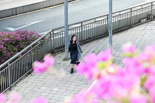 深圳知名景区紧急通知！