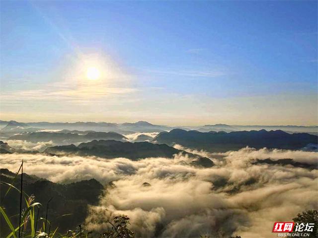 欢庆时刻丨闯入山水画卷，桑植梯田的四季之美