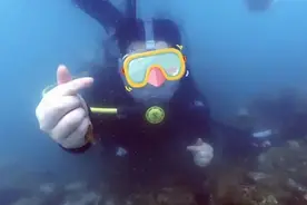 多人已受害！海底潜水时突然被陌生人摘下面罩，只为问这句话图片