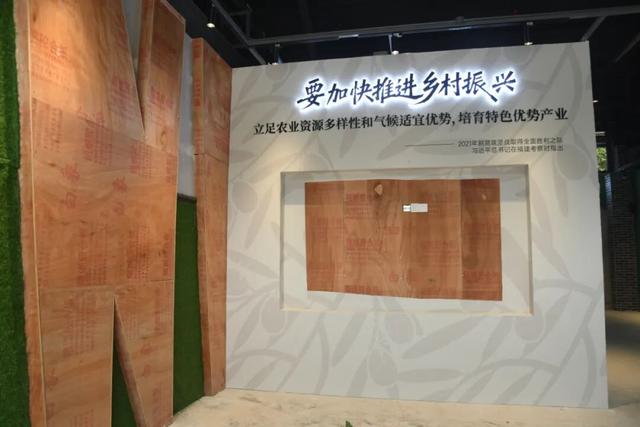 即将开门迎客！闽侯沉浸式橄榄主题馆来了