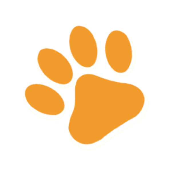 元旦3天狂欢，萌宠+亲子+美食一站打卡