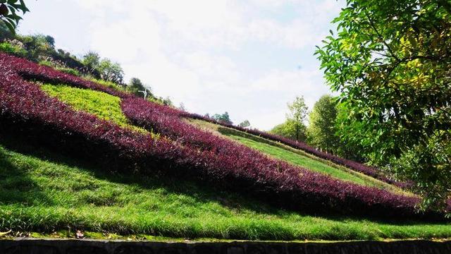 诗画鹤峰：容美秋色