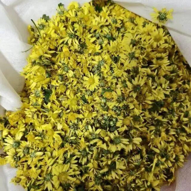 晚潮｜凤凰湖的野菊