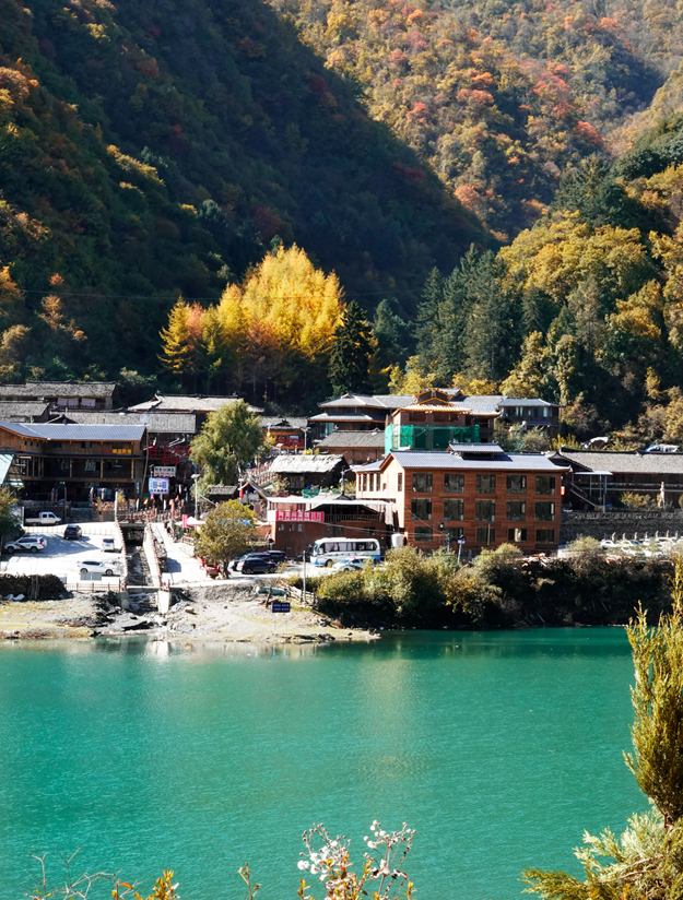 青睐绵阳 ‖ 红透了！周末去平武，沿着“百里彩林走廊”看一场雪山彩林“大片”~