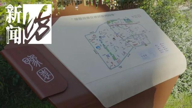 上海网红打卡点，阿姨直接冲进男厕所？