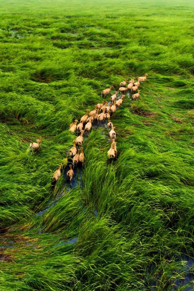 秋天基础，盐城的秋景就不基础！