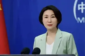 中方回应达苏恐袭事件调查进展：支持巴基斯坦悉数缉拿真凶并予严惩图片