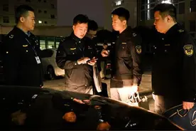 连夜行动 央视3·15晚会曝光的啄木鸟公司被查处图片