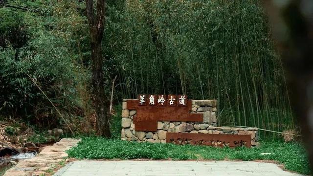 速藏！安吉红色打卡地→