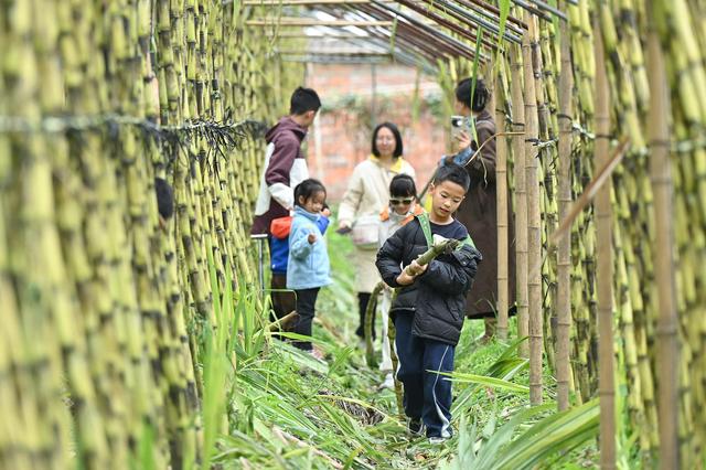 透视秋假经济的第一张成绩单，看“教育+文旅”撬动消费市场