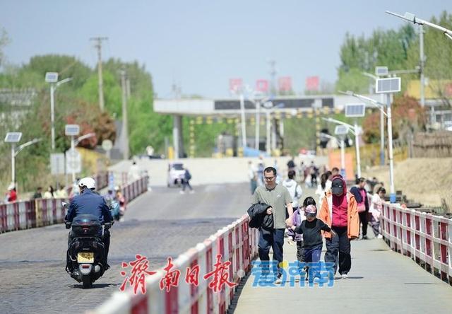 假日拥抱“母亲河”，济南泺口浮桥变身“观景台”