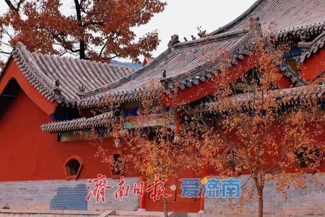 垛庄，乐驰骋：一路欢歌的“乡味乡情”