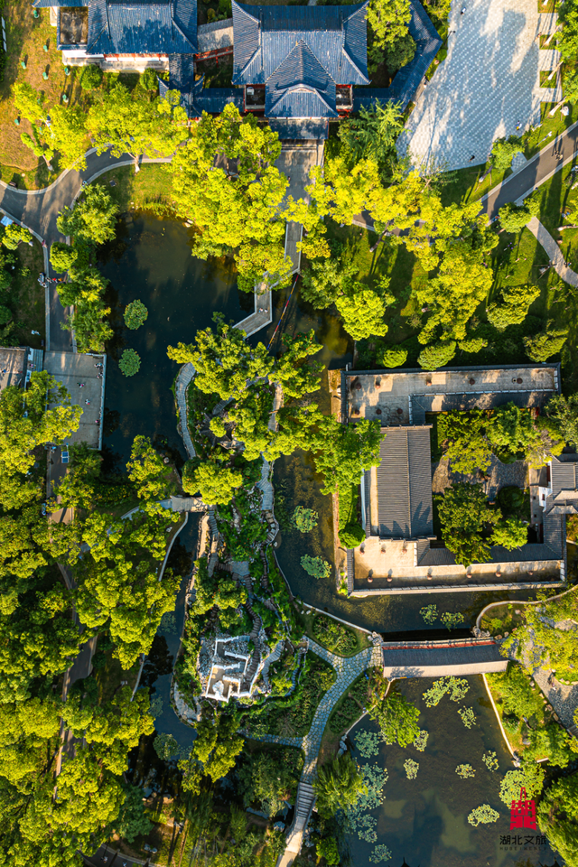 湖北这6座公园，你去过一半算我输！