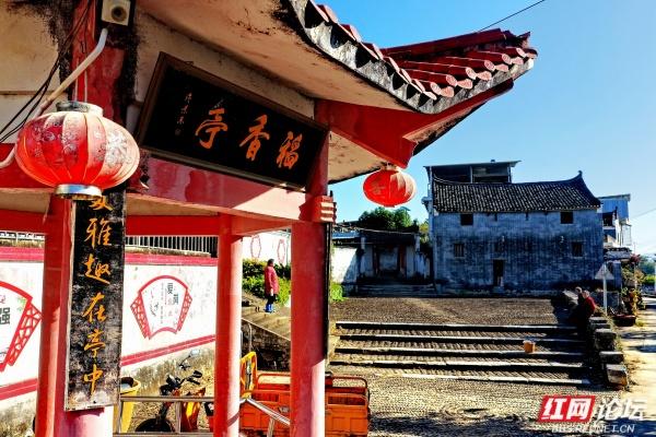 古村新韵：青砖黛瓦里的时光交响