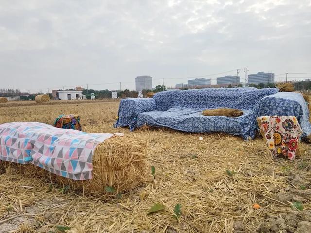 超出片的草垛“瑞士卷”，闵行也有啦！