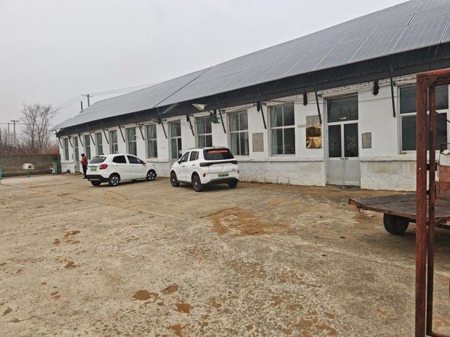 探访“小米公司不让卖小米”涉事村庄，村民：不种小米，冯书记直播帮我们卖菜卖鸡蛋	，不收钱