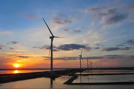 山河行·山东丨齐鲁大地上追光逐风，科技向新图片