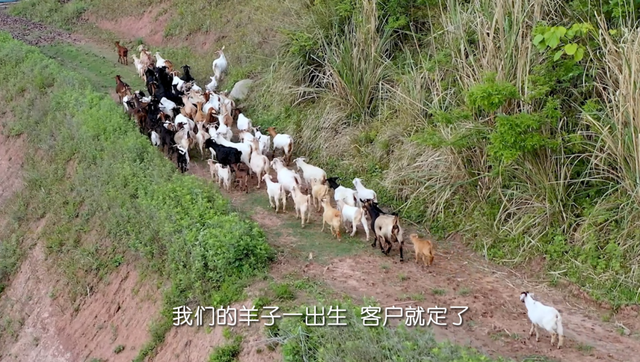 遇见西充，更遇见你！《慕・遇西充》公众号正式上线