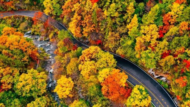 免门票福利！白云山绝美秋色正在上映→