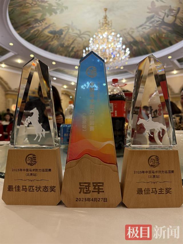 河北坝上草原受伤马匹前主人发声