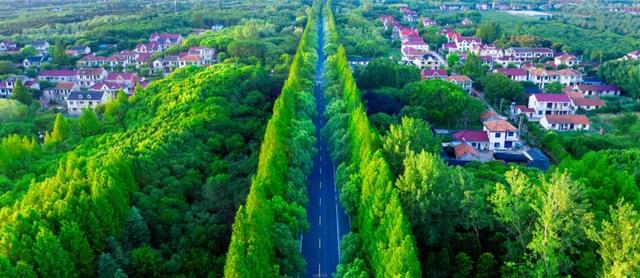 “域见上海”第一届旅游攻略超级大赛报名攻略→