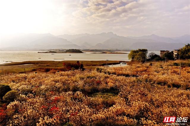 跟着网友游桂林丨山水不在画里，在灵川的黄昏里