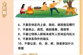 秋季森林如何防火，一起来看！图片