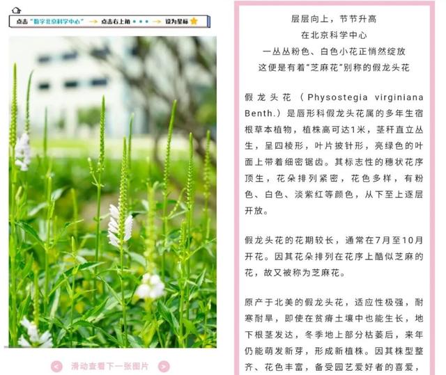 观众留言板｜谁懂啊！看展竟这么治愈？“花园式北京科学中心” 好逛到不想走！