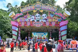 广州长隆“三胞胎熊猫城”开城 “萌二代”幼仔亮相图片