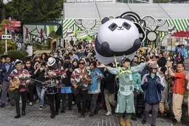 等你取名！首对“港产”大熊猫宝宝亮相，香港市民排队追星图片