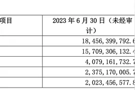 TCL中环“甩卖”参股硅料公司交易落定图片