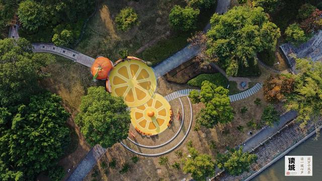 读城｜闽江两岸橘子红了，那是福州的冬日乡愁