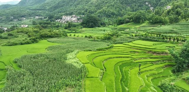 陆家寨：纳凉避暑好地方