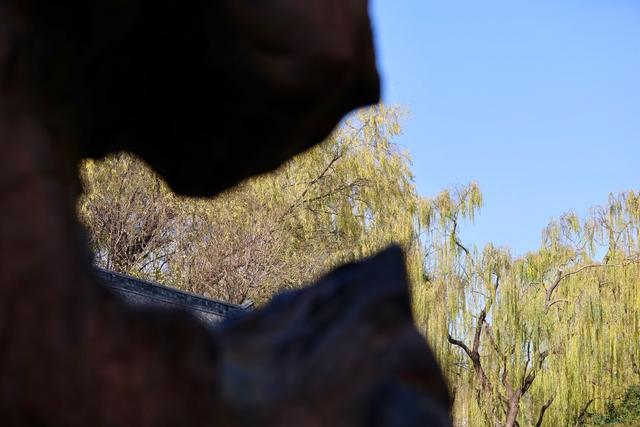 新视界｜如诗如画！冬至趵突泉 景色别样新