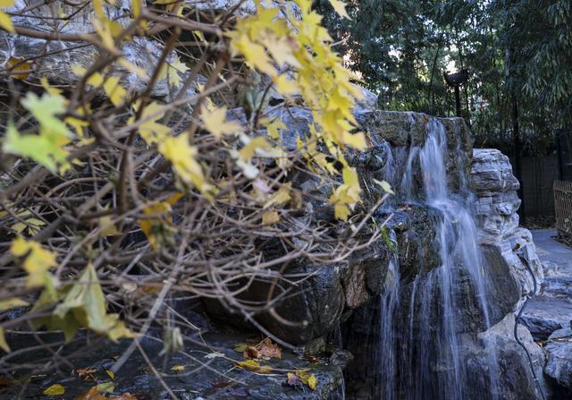 北京二环路边的园林风景