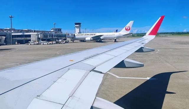 低成本航空大揭秘：行李政策、票价对比与出行技巧全攻略