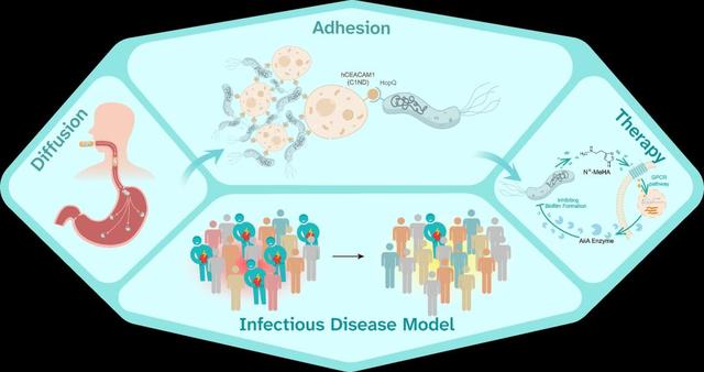 一起照亮更广阔的世界丨北京大学代表队参加国际基因工程机器大赛2025年参赛总结