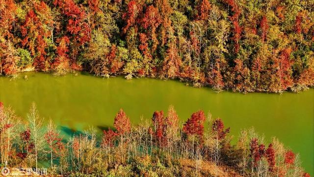 免门票!邀您共赴瀛湖,畅游冬日水墨画卷