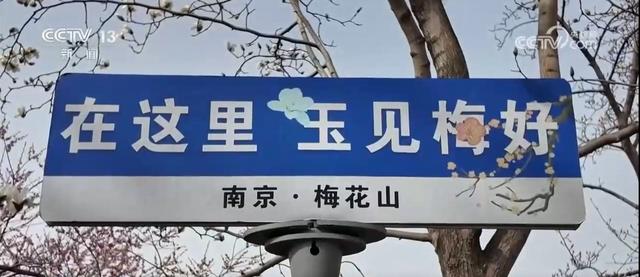 春日美景醉游人 与“花花世界”来一场浪漫邂逅