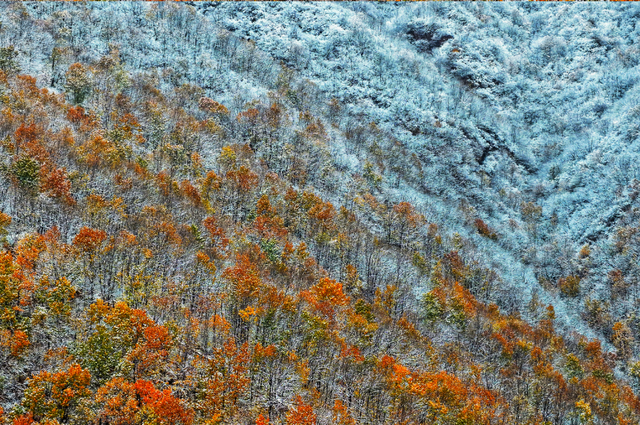 这份“河南冬日色卡”，每一帧都是壁纸