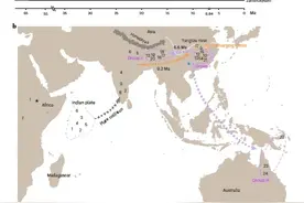 柑橘属起源于中国南方地区，华中农大团队为中国柑橘“正名”图片