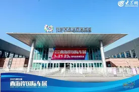 焕新消费，驾享未来——2025青岛西海岸车展引燃开年车市图片