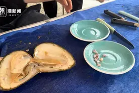 数字智控助力精准喂养，珍珠蚌里孕育致富“金珠”图片