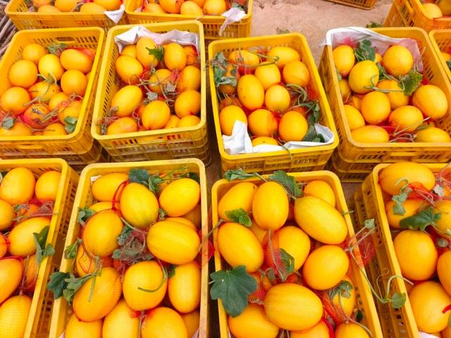 坐上高铁说走就走！广西这座烟火小镇，太安逸了