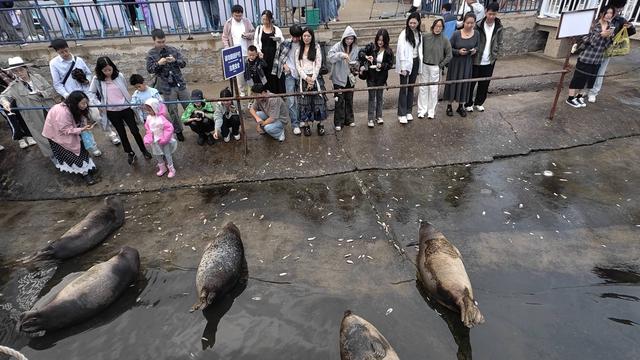 国庆假期景区热度高多元体验受青睐