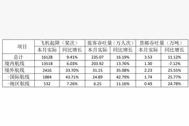 厦门空港：11月旅客吞吐量235.07万人次，同比增长16.19%图片