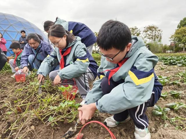 金山人宣布！这条宝藏线路将是“上海旅超”秋冬名场面!