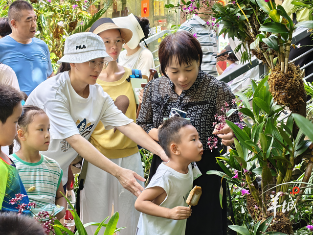 广州南沙百组家庭在黄山鲁森林公园参与生态科普活动，探索自然迎全运