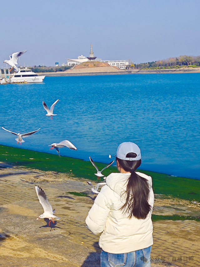 老朋友，又回来了！