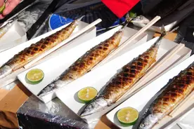 日本人爱吃的秋刀鱼，在我们老家等同于猫食图片